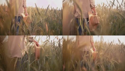 Female farmer walking among crops of wheat in a field高清在线视频素材下载