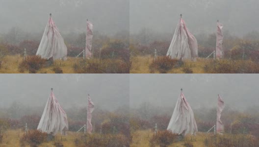 中国甘肃甘南州，冬季降雪期间，佛教经幡在风中摇曳。旗帜在严冬的暴风雪中疯狂地飘扬。高清在线视频素材下载