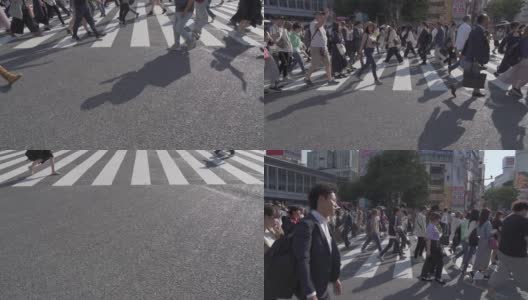 日本东京涩谷十字路口行人的慢镜头高清在线视频素材下载