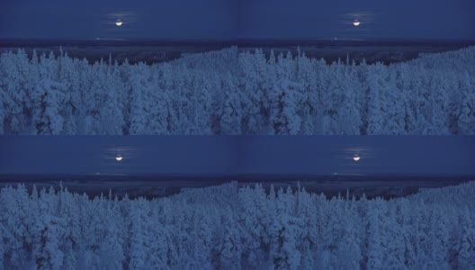 一个令人惊叹的景点霜冻松树照亮在美丽的月亮在夜晚-航拍高清在线视频素材下载