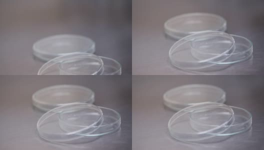 实验室用的培养皿高清在线视频素材下载