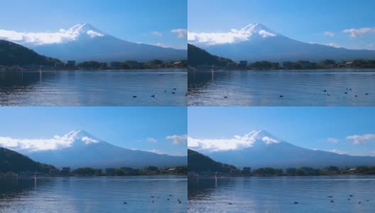 风景有富士山和水鸟高清在线视频素材下载