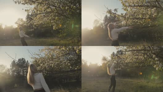 迷人的年轻女子穿着毛衣，牛仔裤在花苹果树跳舞和纺纱。夕阳，春天的果园和绿色的田野。缓慢的运动。高清在线视频素材下载