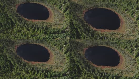 鸟瞰北方森林自然和湖泊在秋季，魁北克，加拿大高清在线视频素材下载