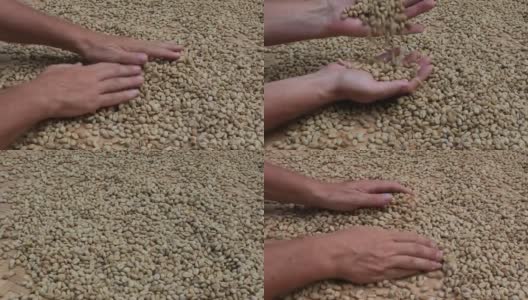 男性的手和未烘焙的咖啡豆背景市场，巴厘岛，印度尼西亚高清在线视频素材下载