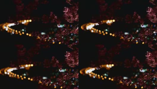 运动镜头的发光樱花和城市夜景的背景。高清在线视频素材下载