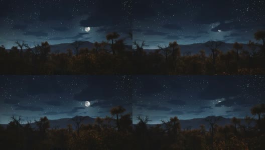 万圣节之夜阴森森的森林里的满月高清在线视频素材下载