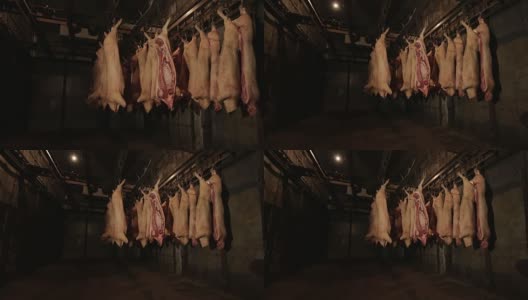 肉类冷库——肉类生产高清在线视频素材下载