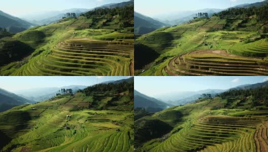梯田在丘陵或山区耕作，通常在东部，南部和东南亚耕作高清在线视频素材下载