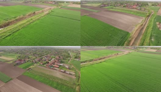 航拍的绿色麦田在春季农场农业高清在线视频素材下载