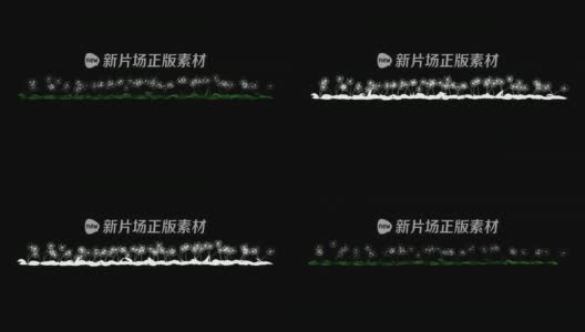 蒲公英+α高清在线视频素材下载