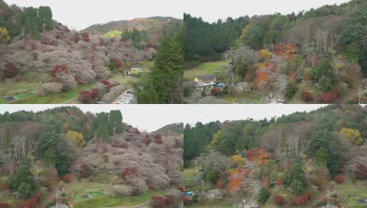 摇摄:秋红离开原丰田日本名古屋高清在线视频素材下载