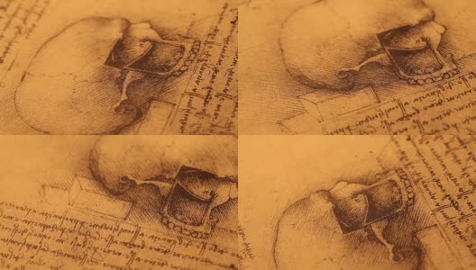 解剖学的艺术高清在线视频素材下载