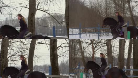 慢镜头:一位女骑师正骑在马上。它表演各种运动动作和跳跃。训练在一个特殊的小围场进行高清在线视频素材下载