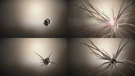 细菌的微观动画高清在线视频素材下载