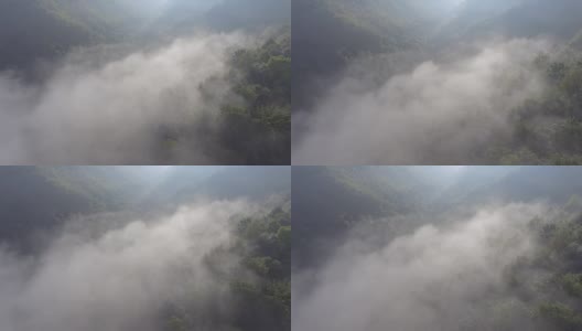 景观模糊全景。梦幻般的日出在岩石山与视野到雾气蒙蒙的山谷下面。福雷斯特上空雾蒙蒙的云。观赏下面的仙景。多雾的森林山。从以上观点。高清在线视频素材下载