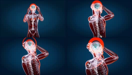 人体和大脑x光，人体解剖学，3D动画高清在线视频素材下载