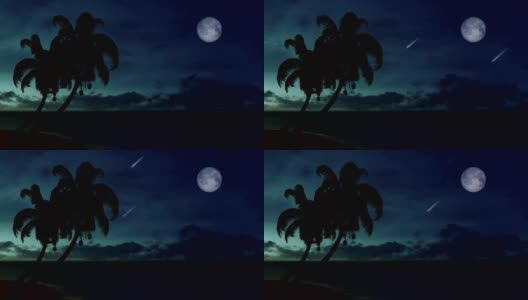棕榈树的剪影映衬着夜空，还有流星和满月高清在线视频素材下载