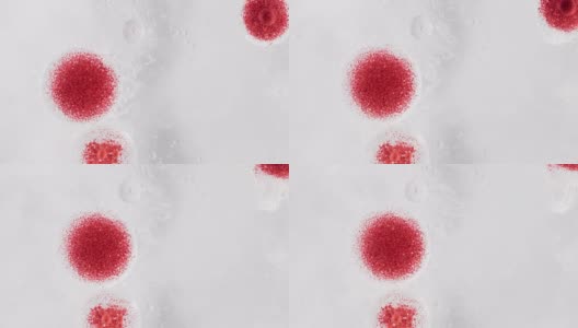 冠状病毒或covid-19细胞真实取自相机高清在线视频素材下载