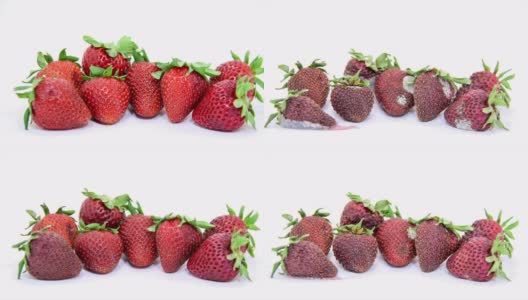 腐烂的草莓高清在线视频素材下载