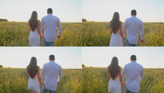 幸福的年轻夫妇手牵着手走过麦田在夏季日落，有乐趣的户外。爱,夏天的时间。男人和女人，幸福的家庭漫步在草地上，大自然，太阳耀斑慢镜头高清在线视频素材下载