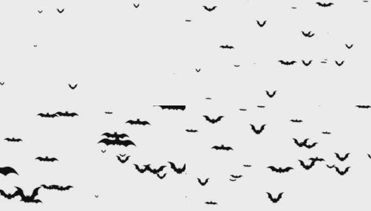 蝙蝠飞行动画。月夜背景上的万圣节蝙蝠。高清在线视频素材下载