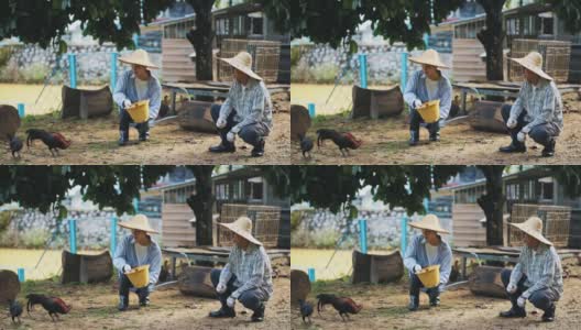 亚洲华人老人在他的农场鸡舍提水桶喂鸡在他的儿子每天早上例行高清在线视频素材下载