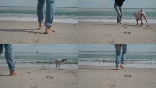 女人赤着脚走向大海高清在线视频素材下载