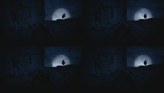 夜晚古堡废墟上的乌鸦高清在线视频素材下载