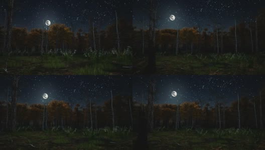 月色之夜的可怕秋林高清在线视频素材下载