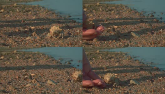 一只寄居蟹从手掌跑到沙滩上。高清在线视频素材下载