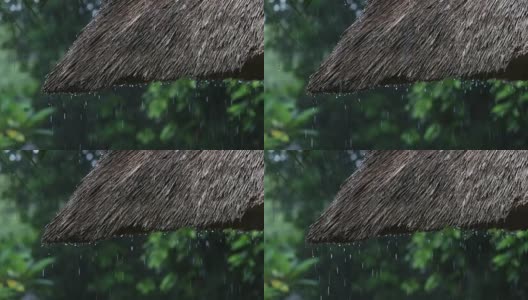 热带夏雨滴落在花园的稻草屋顶上。印尼巴厘岛高清在线视频素材下载