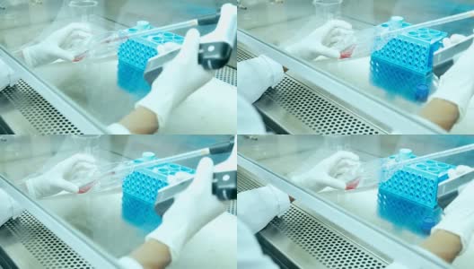 科学家们正在细胞培养室中改变培养基来培养细胞，概念科学与技术高清在线视频素材下载
