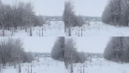 树林里的房子。落叶林在雪地里。高清在线视频素材下载