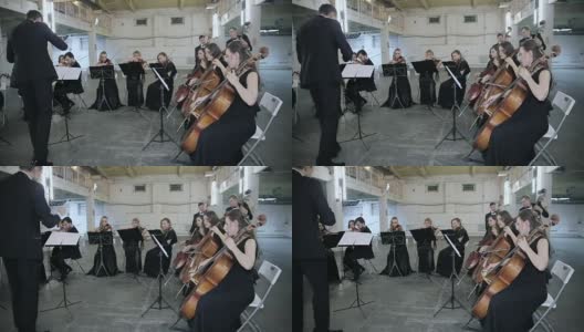 乐团。在交响音乐厅拉小提琴的音乐家高清在线视频素材下载