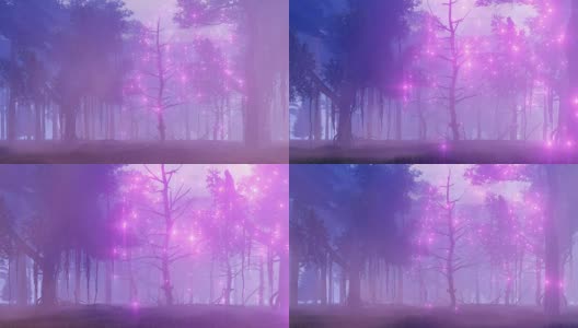 神奇的迷雾夜森林里的仙女灯高清在线视频素材下载