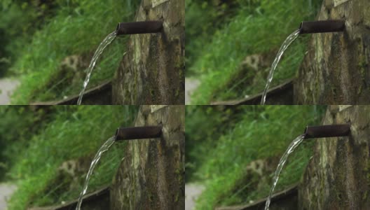 一股清澈的水从森林矿泉中缓慢地涌出高清在线视频素材下载