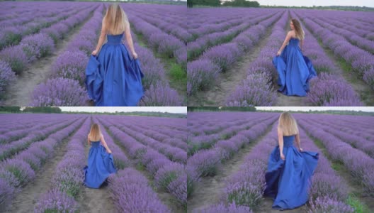 一个年轻的白人妇女穿着蓝色的缎子长裙走在薰衣草地里。高清在线视频素材下载