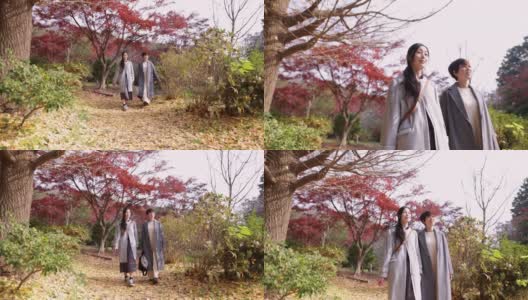 日本女性朋友在秋天徒步旅行高清在线视频素材下载