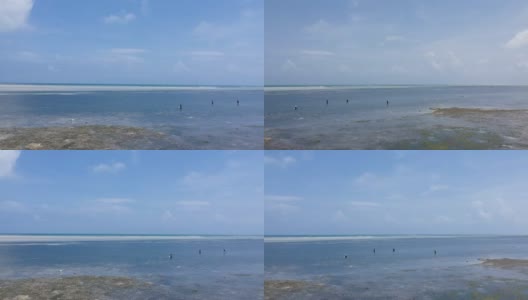 从左向右平移，可以看到在水中行走的海草采摘者高清在线视频素材下载