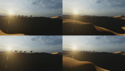 一个阿拉伯人走向他的骆驼在沙漠沙丘和明亮的太阳高清在线视频素材下载