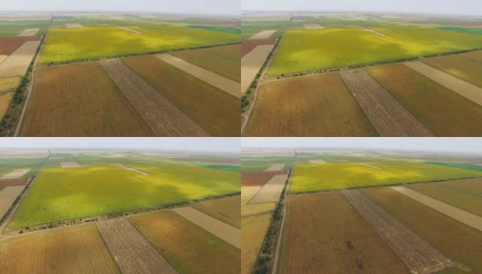 图片:农田里的农田景观高清在线视频素材下载