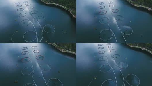 航拍挪威农场捕捞鲑鱼高清在线视频素材下载