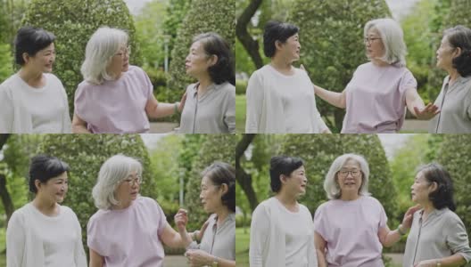 台湾高级女性朋友在公园聊天高清在线视频素材下载