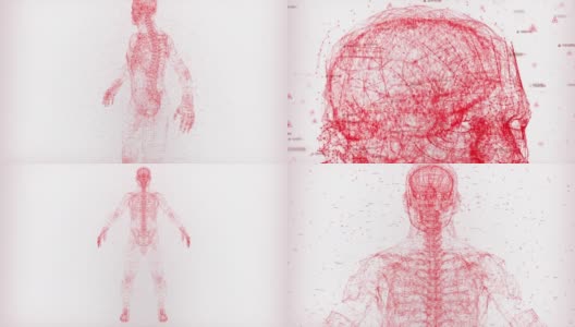 数字人体高清在线视频素材下载