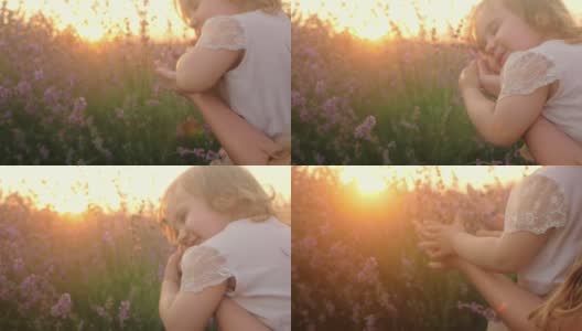 慢镜头，宝宝和妈妈在薰衣草地里。女孩快乐，微笑，爱花，拥抱。香薰，石油，农贸，一家人在一起。美丽的日落高清在线视频素材下载