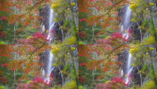 美丽的秋叶和瀑布的图像高清在线视频素材下载