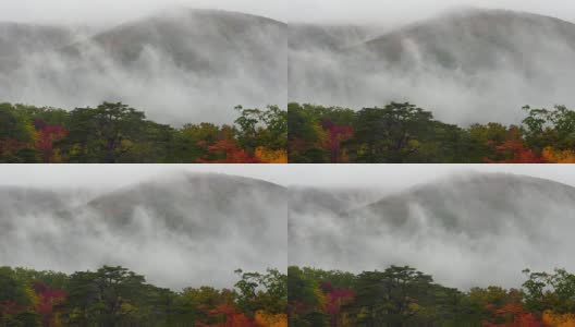 4K镜头的雨和雾在多色的秋天季节在深森林Naruko峡谷，日本，自然和旅游的概念高清在线视频素材下载