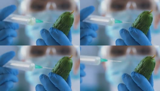 女科学家给黄瓜注射试剂看基因改造高清在线视频素材下载