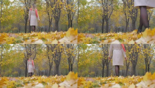 米色大衣和橙色围巾的女士走在秋天的黄叶地毯4k高清在线视频素材下载